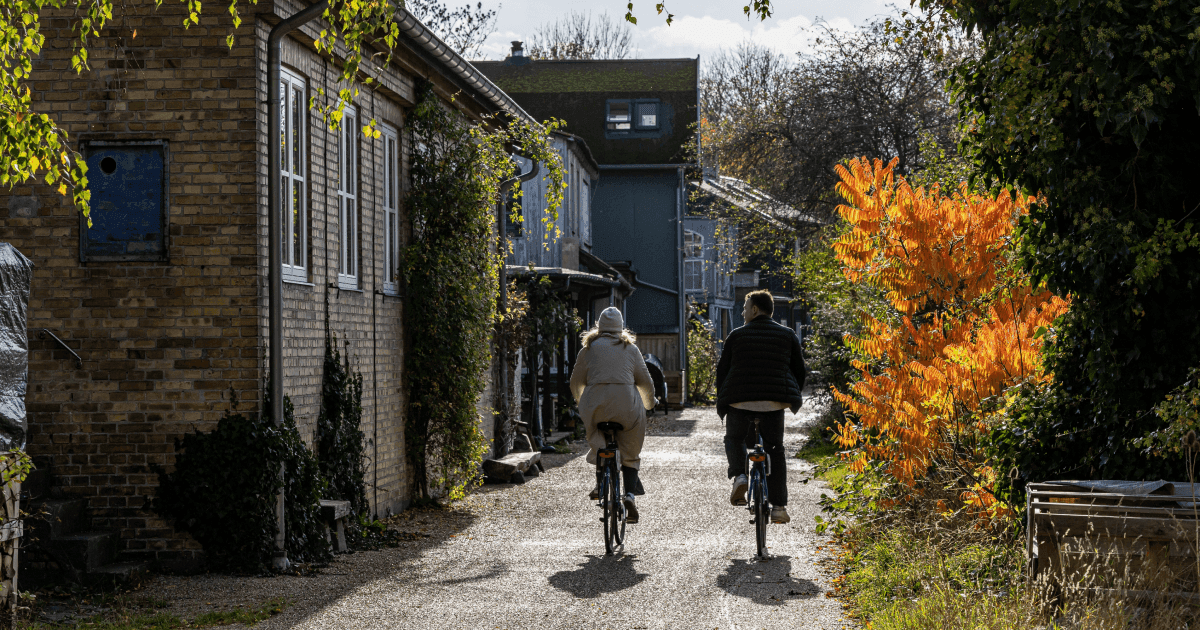 Living in Copenhagen as an expat: cost, life, housing | Profee Blog