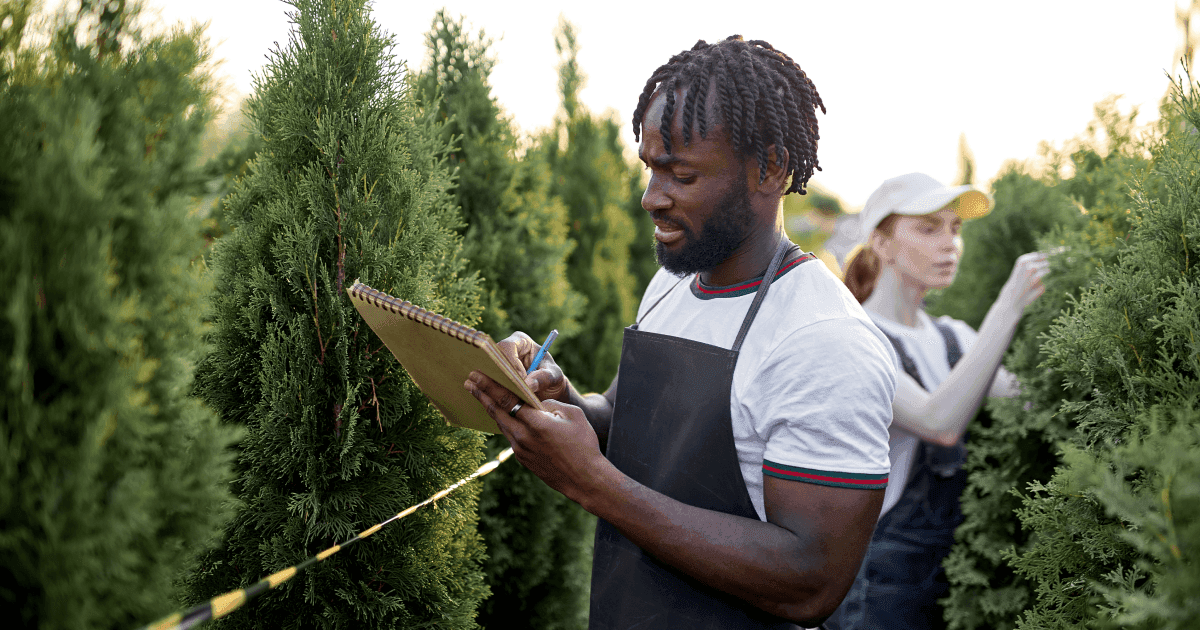 Jobs in Europe for Nigerians: Top In-Demand Sectors in 2026 | Profee Blog