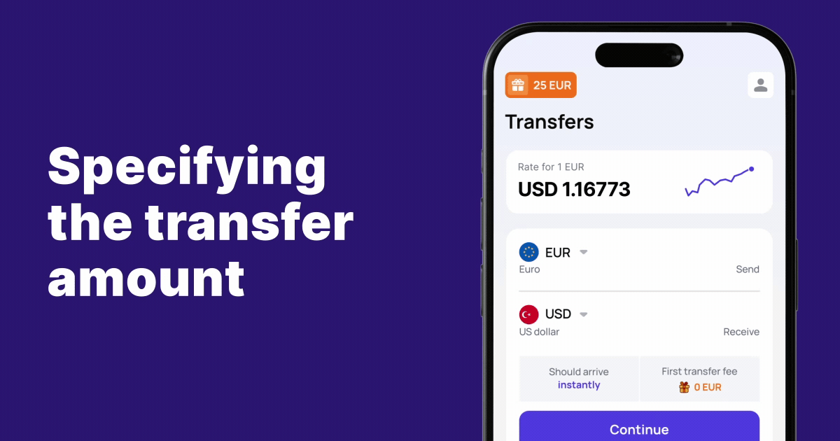 Sending money from Europe to your Turkish US dollar card, explained | Profee