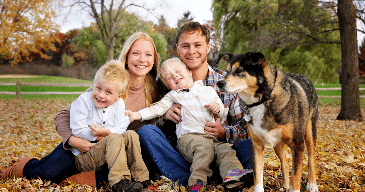 Kindergeld in Germany: Guide to Application & Rules | Profee Blog