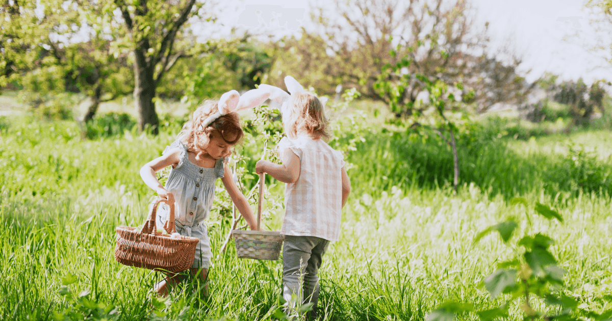 Ireland Bank Holidays & Festivals 2026: Full-Year Calendar | Profee Blog