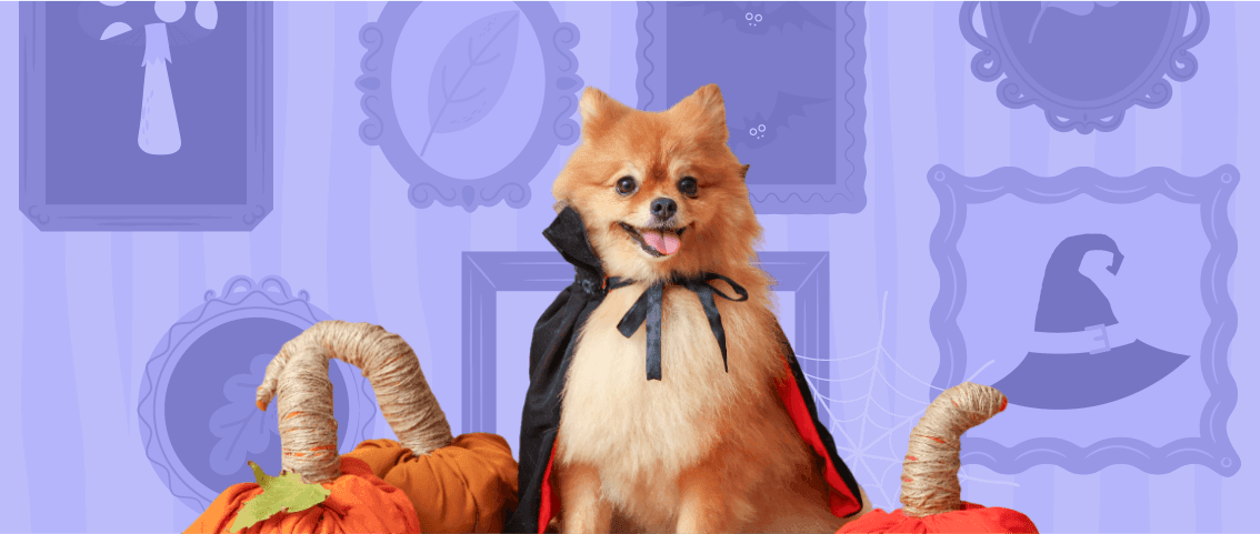 How Europe celebrates Halloween: 5 ideas to try this year | Profee Blog