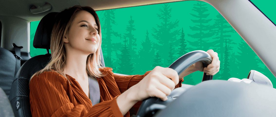 Speed limits and driving laws in Norway | Profee Blog
