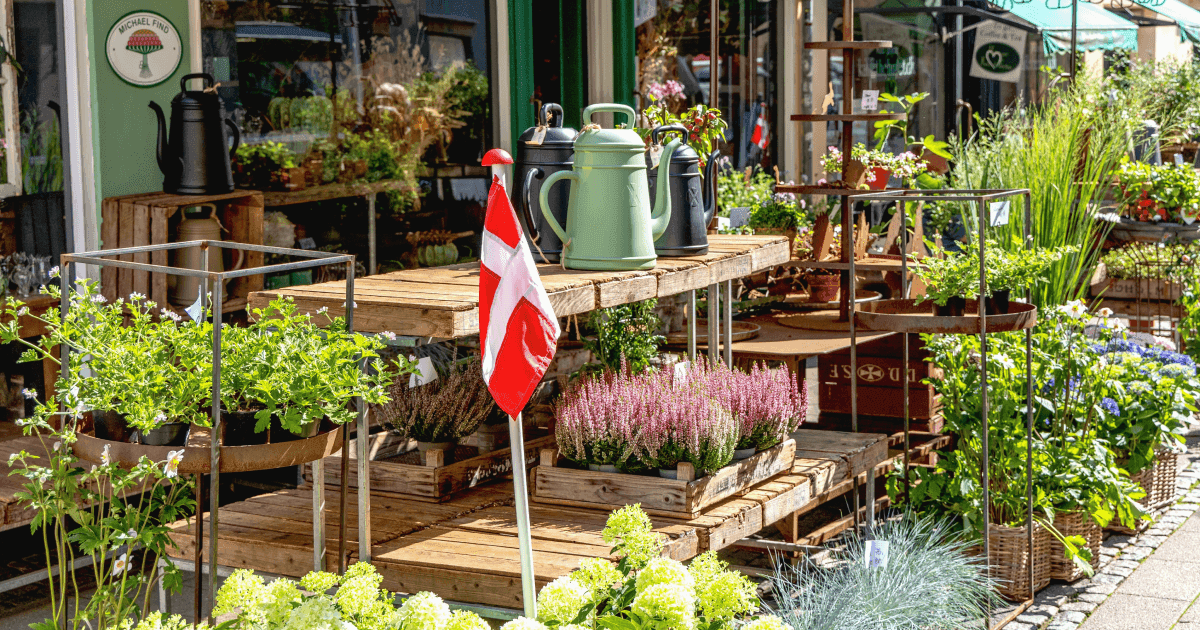 Работа в Дании для мигрантов: советы и поиск | Блог Profee