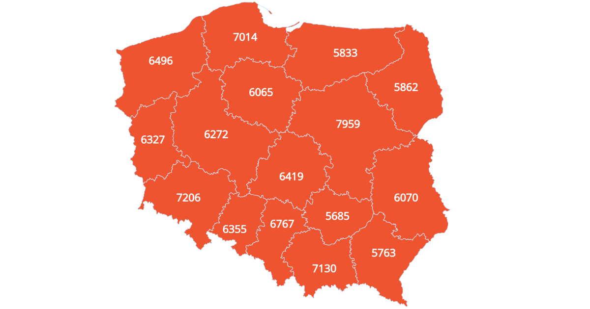 Минимальная и средняя зарплаты в Польше 2022/2023: все, что нужно знать