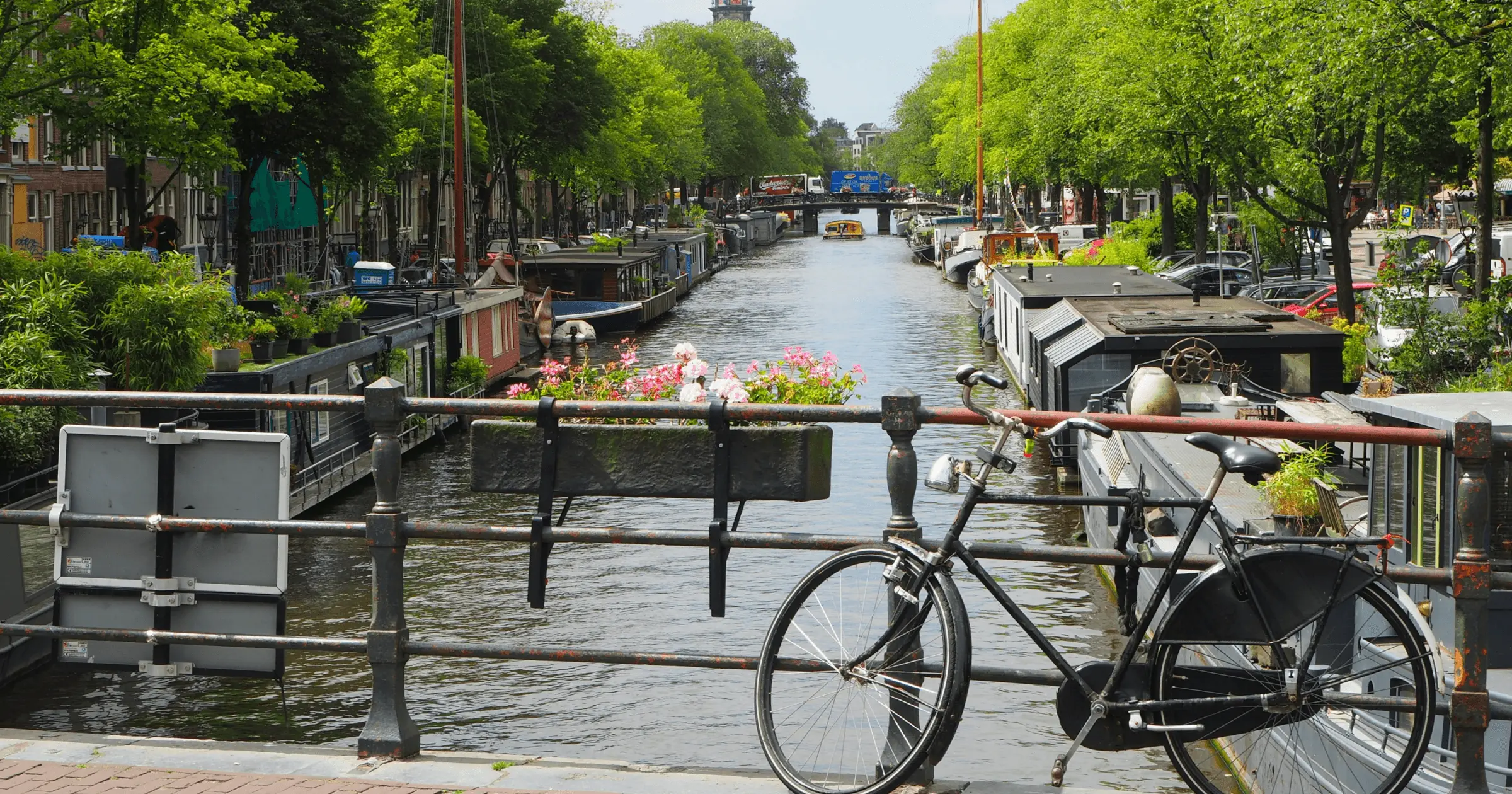 All you need to know about living in the Netherlands as an expat