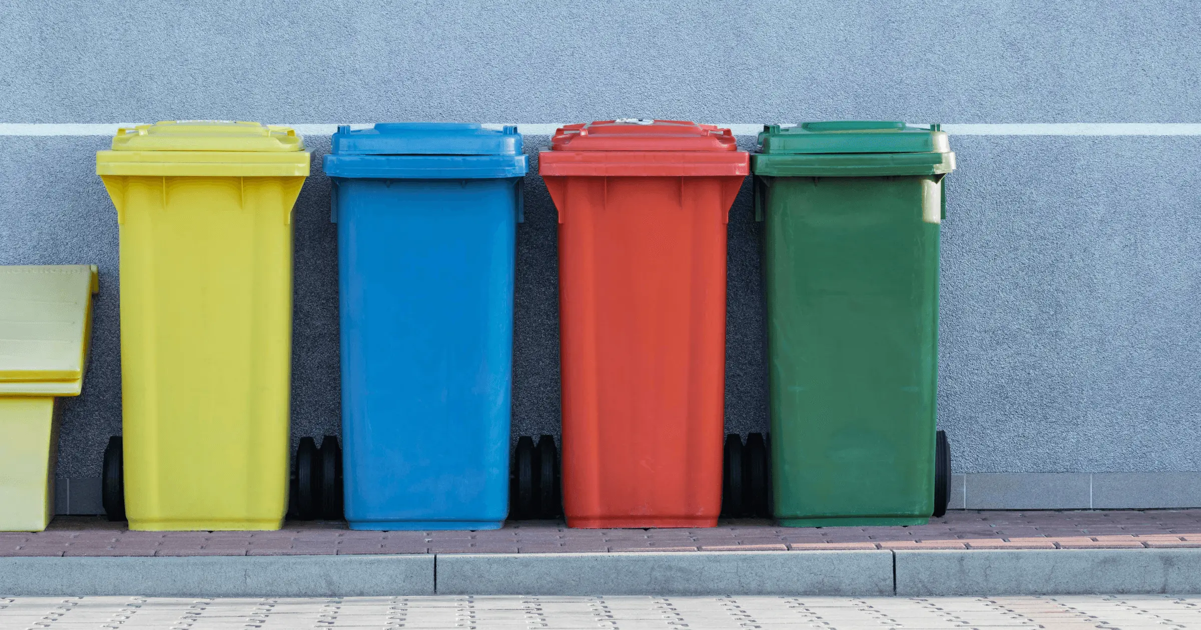 How to recycle in Germany: expat guide